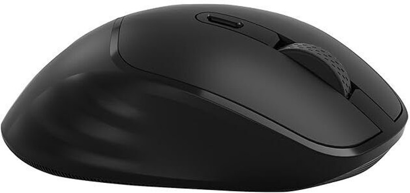 HP M120 Ambidextrous Mechanical Mouse 6 programme buttons,1 AA battery gives upto 12 months life,upto 1600 DPI(2.4GHz Wireless, Black)