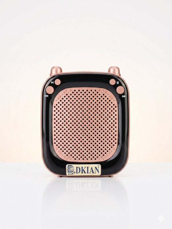 dkian portable voice amplifier with Bluetooth Voice and Wireless Speaker Cabinets Speaker Cabinets