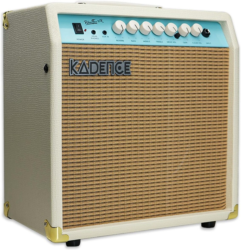 KADENCE 30 Watt Guitar Amplifier with Analog Distortion Reverb Guitar Amplifier