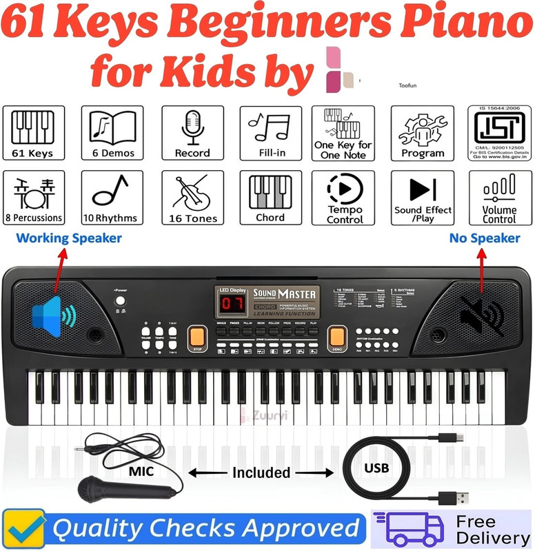 ASTOY 61 Keys Piano with USB Charging and Microphone(Black)