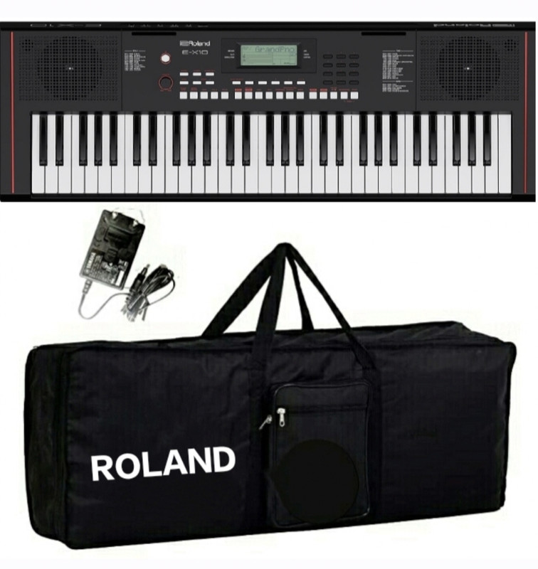 Roland E-X20 Arranger Keyboard with Carry Case E-X20 Arranger Keyboard with Carry Case Digital Arranger Keyboard(61 Keys)