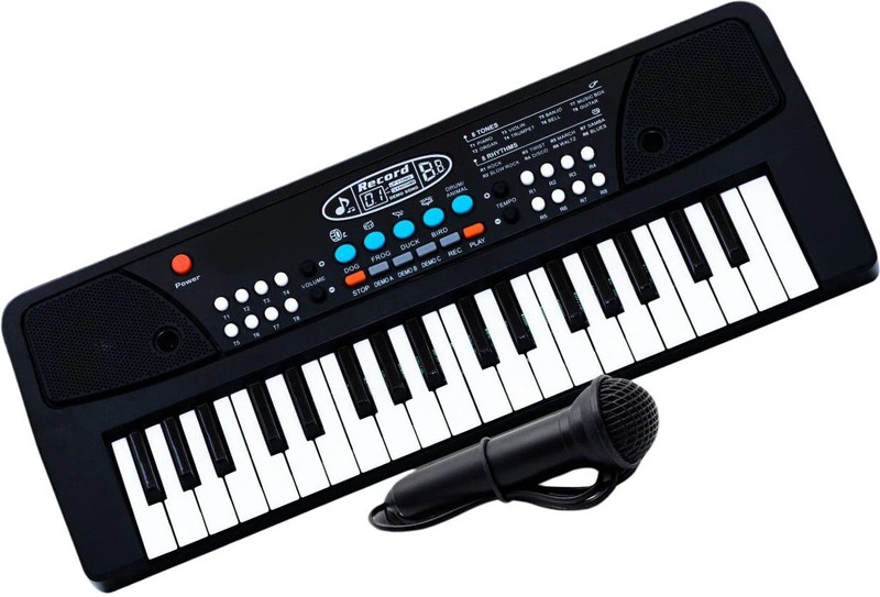 Collectionmart Bigfun 37 Key Piano Keyboard Toy with DC Power Option, Recording and Mic for Kids bagful Digital Portable Keyboard(37 Keys)