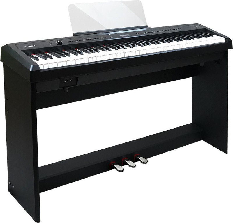 KADENCE KAD-DP-K125B Weighted Double-Braced Fold-Up Piano Stand (Black) Digital Digital Piano(88 Keys)