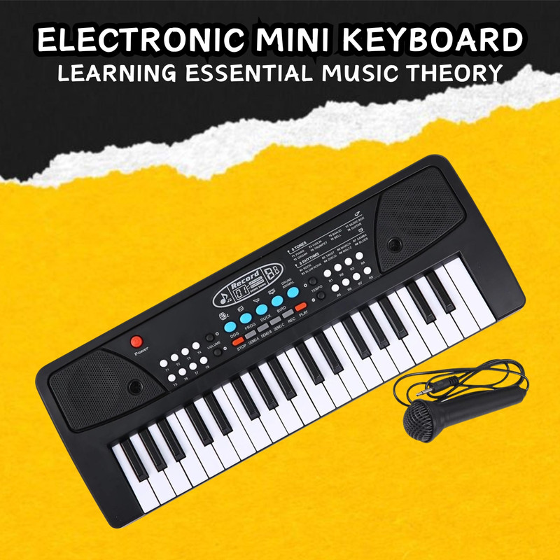 Paramount Gallery X113 key piano keyboard toy with mic and dc power option recording X113 key piano keyboard toy with mic and dc power opti_pk234 Analog Digital Piano(37 Keys)
