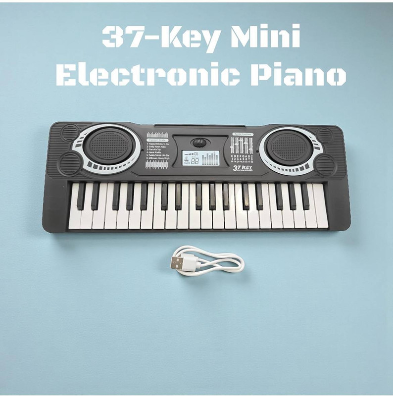 Xcillince Toys Music Learning Guide, USB Type-C Plug & Play, Educational Musical Toy(Multicolor)