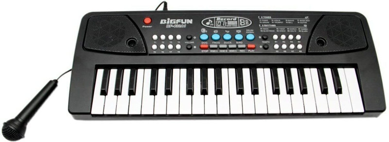 Braintastic Bigfun Portable Musical Piano Keyboard with Microphone(Black)