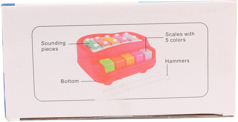 Dorytoys Musical Piano Xylophone Plastic Non Toxic Non-Battery for Kids Toddlers(Multicolor)