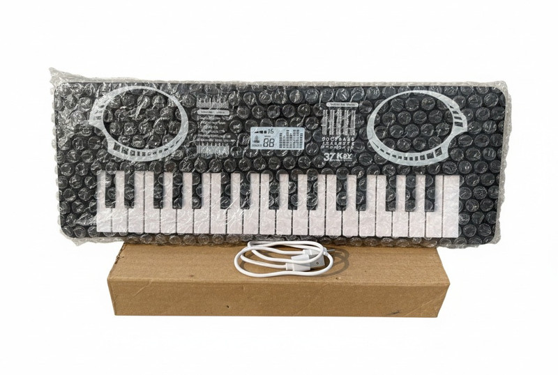 KidsCorner New 37-Key Mini Electronic Piano - Compact Multifunctional(Multicolor)