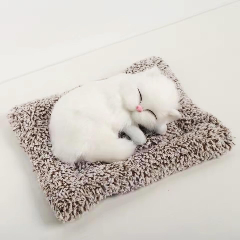 MY BABY LOVE A PERFECT CARE Sleeping cat with meaw sound | Musical cat Idol B(Multicolor)
