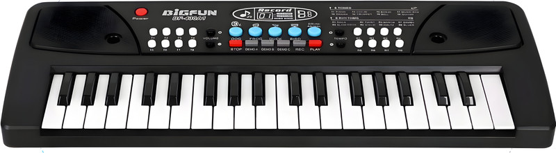 Jollyora 37 Keys Piano Keyboard with 8 Rhythms, 8 Tones, 6 Demos(Black)