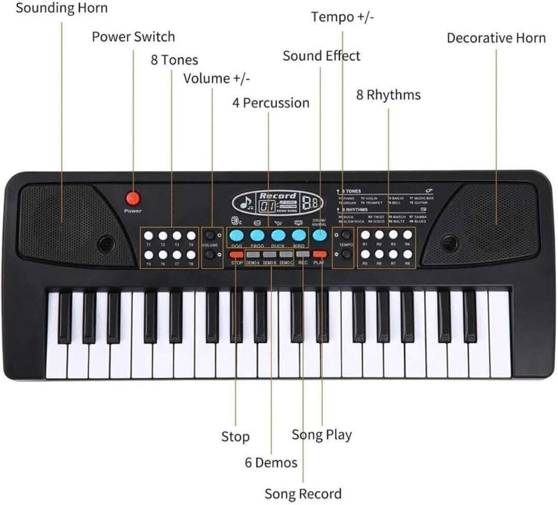 Zintargo Piano Keyboard with Mic protable electronic 37 key keyboard musical toy(Black)