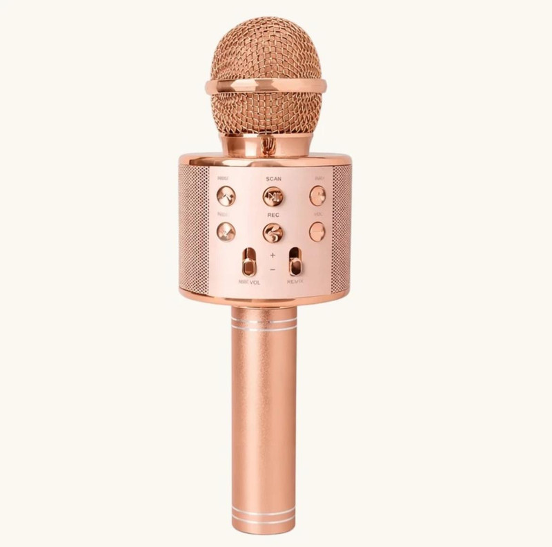 TMT STORE Karaoke Microphone with Built-in Speaker, Rose Gold, Bluetooth, REC Function(Multicolor)