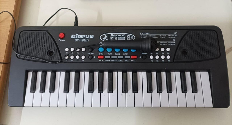 BIGFUN The 37 Key Piano Keyboard Toy with Recording, Mic and USB Cable for Power-95(Black)