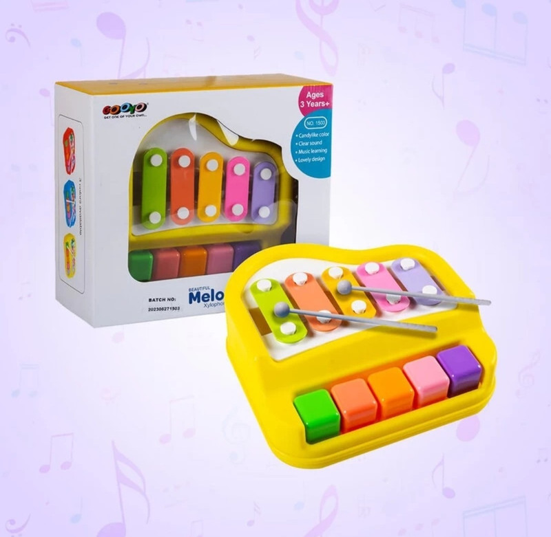 Toyshack 2 in 1 Xylophone and Piano Toy with Colorful Keys for Toddlers and Kids(Multicolor)