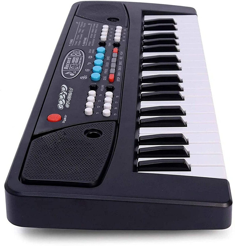 Sonpal 1 pcs piano keyboard toy with dc power option, recording and mic for kids(Black)