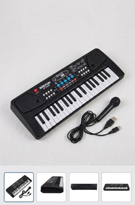 Araa Enterprise BF-40A1 Kids Electronic Piano Keyboard(Black, White)