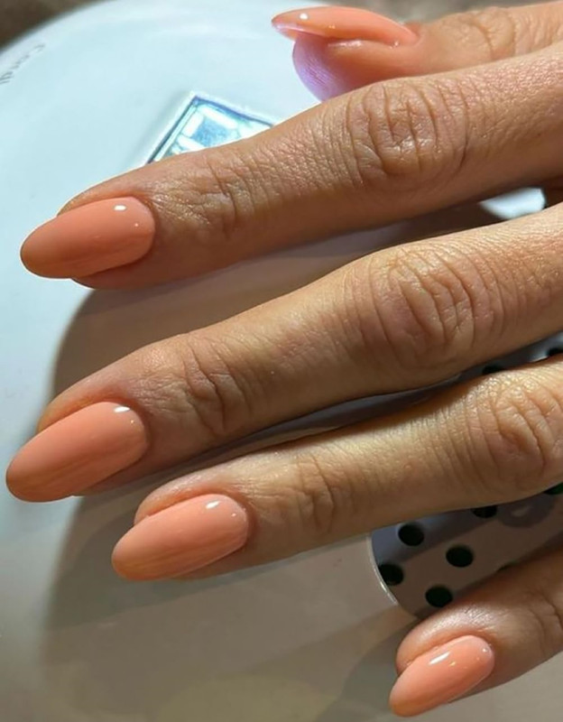 feelhigh 24 Stick on Nails Artificial Fake Nail Set Long Lasting, Quick Fix(Shade 16)