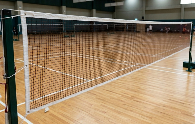NETT New786 Badminton Net(Brown)