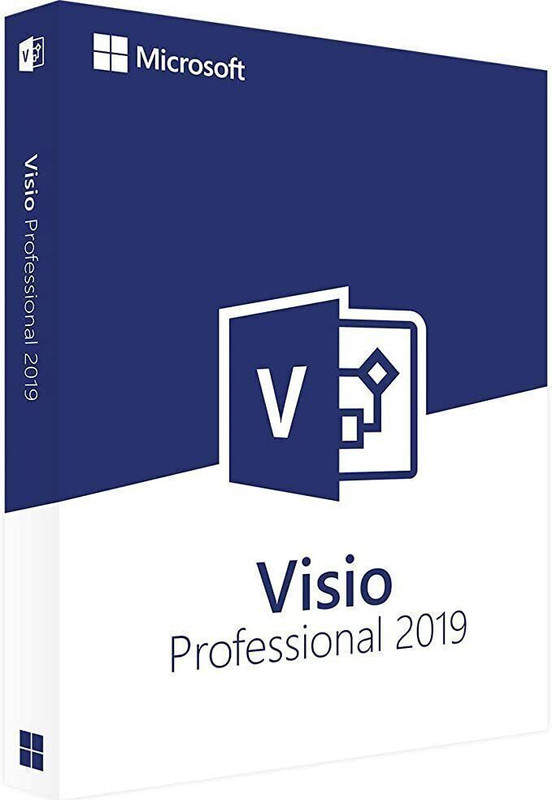 MICROSOFT Visio Professional For Windows 2019 (1 User, Lifetime Validity)
