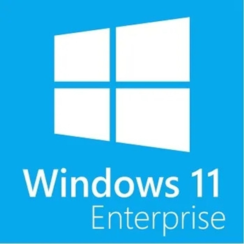 MICROSOFT Windows 11 Enterprise 32/64 Bit (1 User, Lifetime)