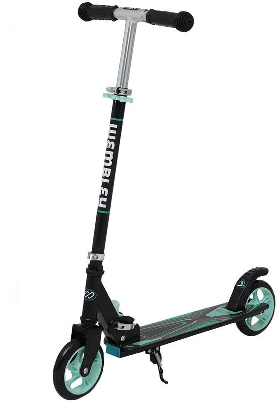 Wembley Kick Scooter for Kids 2 Wheels Steel Frame Foldable Adjustable Skating Scooter(Green)