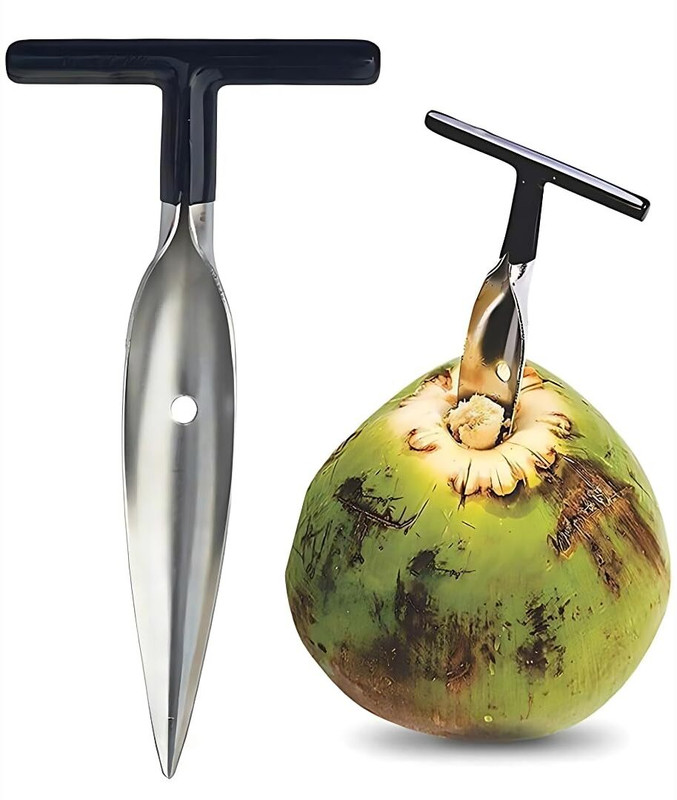 REVATAKG Stainless Steel Coconut Opener Tool, Coconut Driller Y Shaped Peeler(Silver)