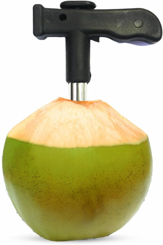 Euclid Kitchen Coconut Opener Tool Compact Design Straight Peeler(Black, Silver)