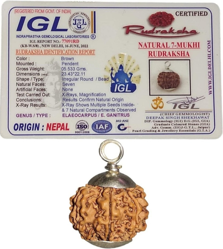 nepalirudraksh 7 Mukhi Rudraksha IGL Certified | Original Seller Nepali Rudraksh | Mother of Pearl Pendant