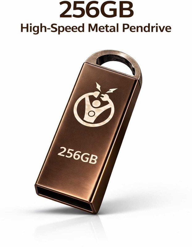 OLYWIN G6 256 GB Pen Drive Compatible with Mobile, Laptop, Gaming Console USB 3.0 Metal Case(Silver)