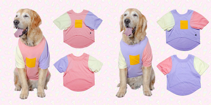 RUSE Tank Top for Dog, Cat(Pink, Lemon Yellow)