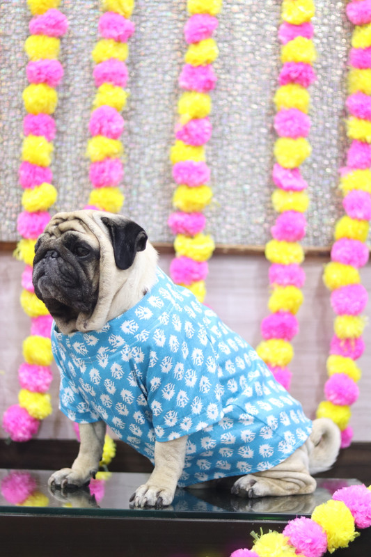 Baeship Dress for Dog(dark blue)
