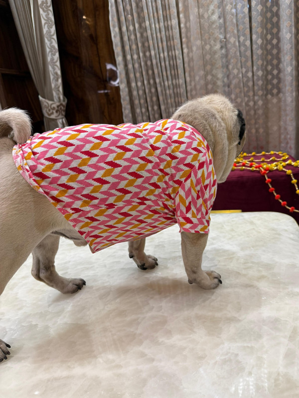 Baeship Dress for Dog(Purple)