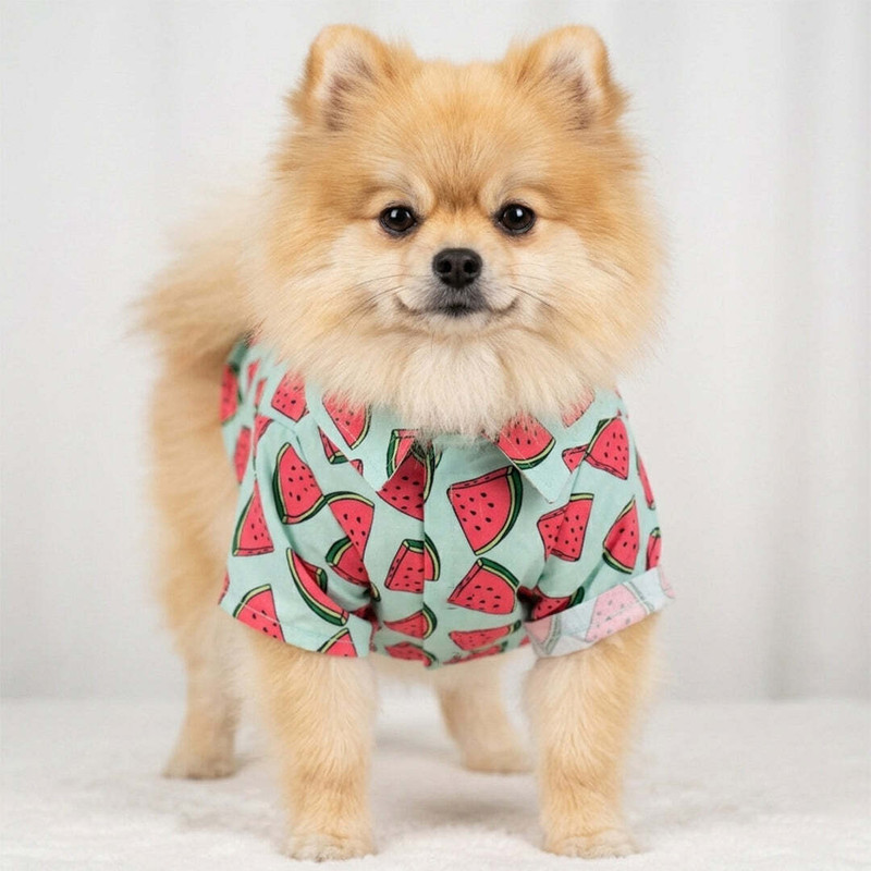 All4pets Shirt for Dog(Green)