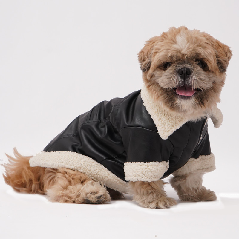 Furry Castle Winter Jacket for Dog, Cat(Orange)