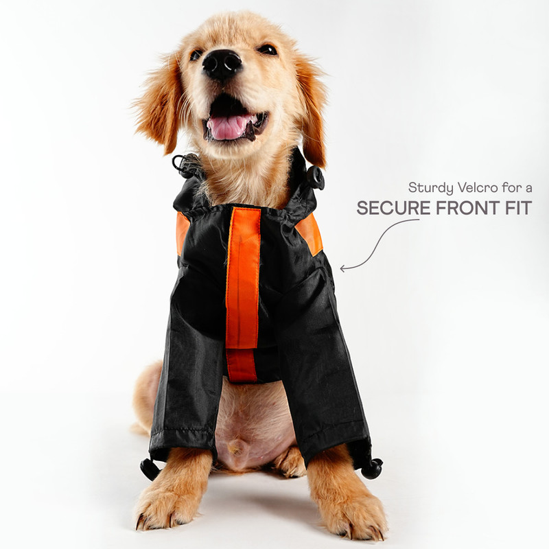 Barks & Wags Raincoat for Cat, Dog(BLACK)