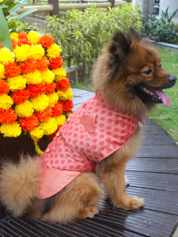 Paws By Vastramay Dress for Dog(Pink and White)