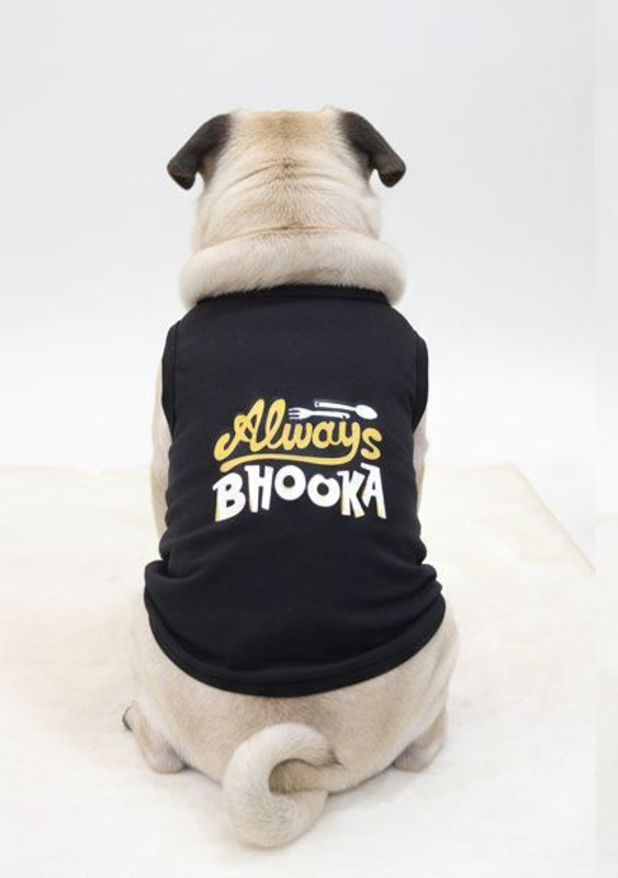 kasakclothing Shirt for Dog(BLACK, BLUE)