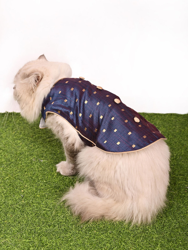 Paws By Vastramay Dress for Cat(Blue and Gold)