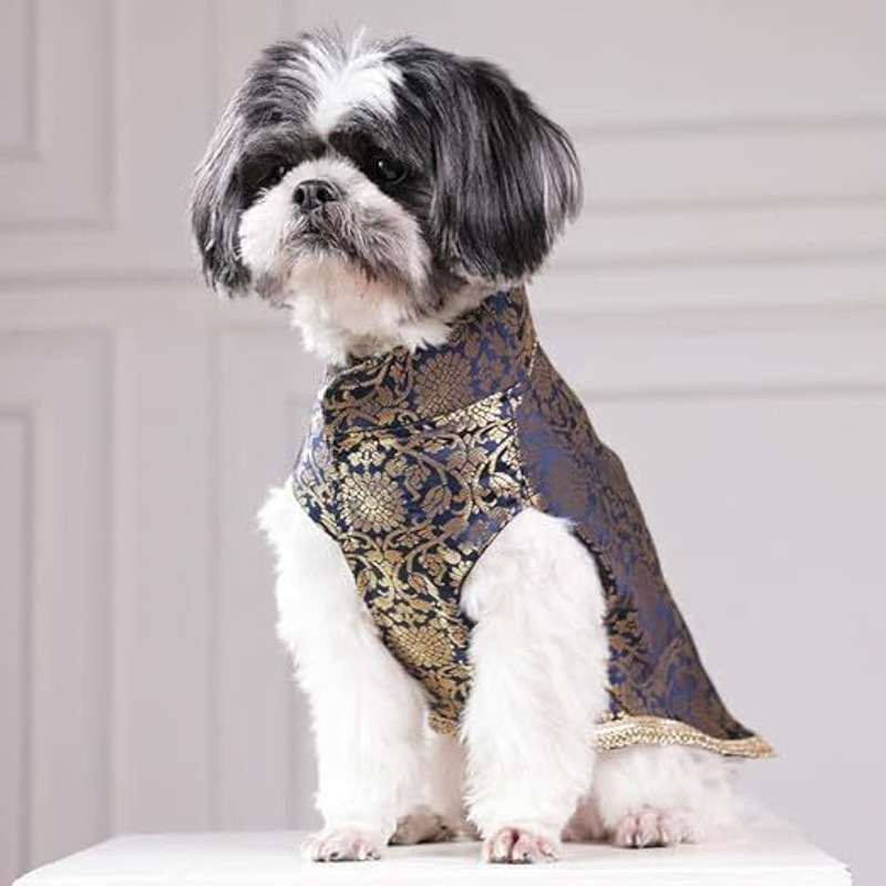 Dog-O-Bow Costume for Dog(Navy Blue)