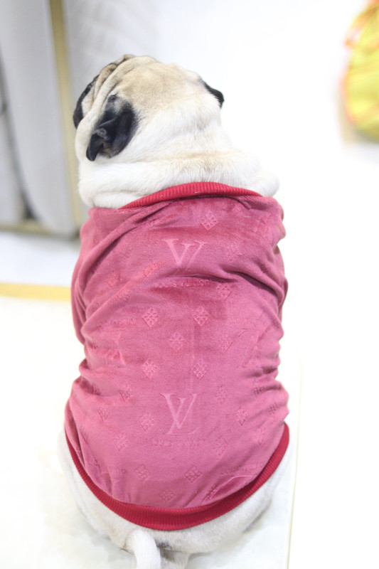 Baeship Sweater for Dog(Beige)