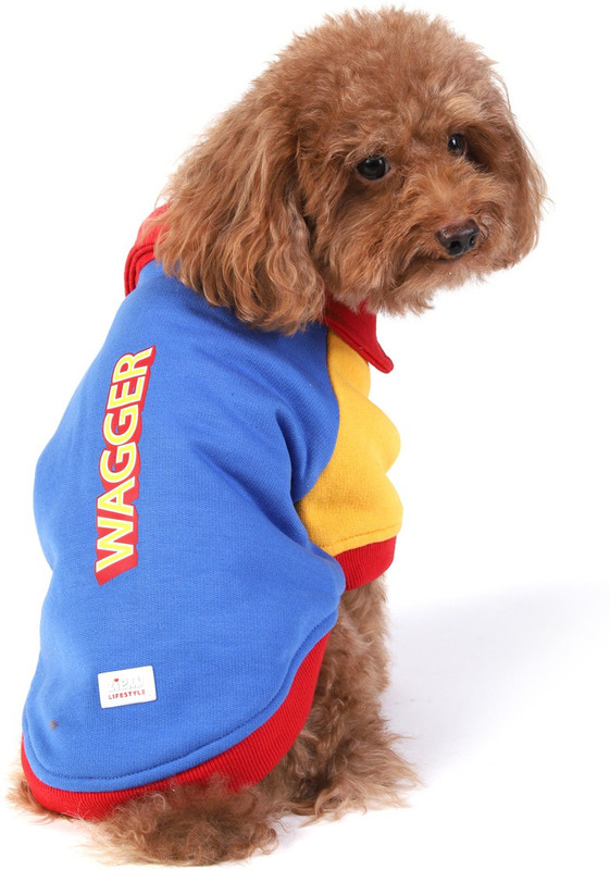 ZIGLY Sweats for Dog, Cat(Blue Yellow)