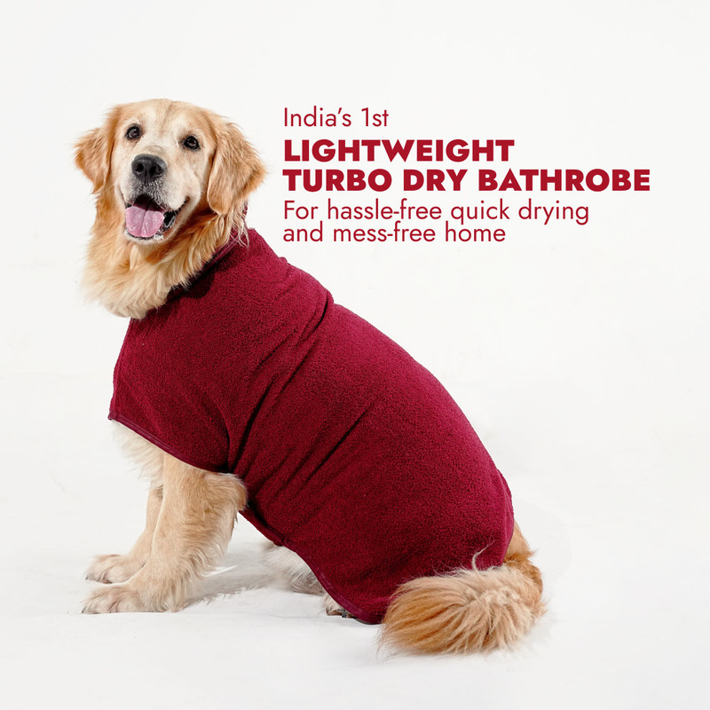 Barks & Wags Costume for Dog(Maroon)