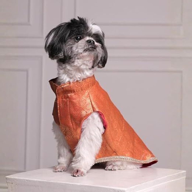 furryfits Costume for Dog(Orange)