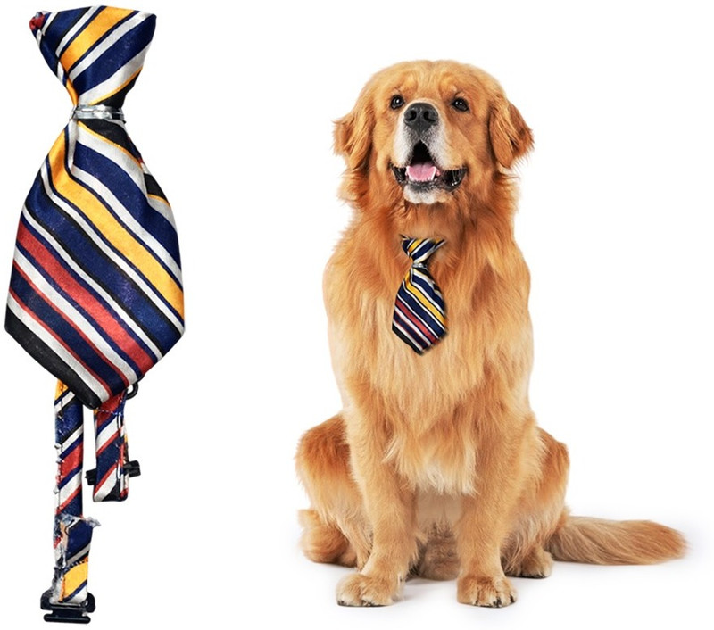 Petfun Frock for Dog, Cat(multicolor)
