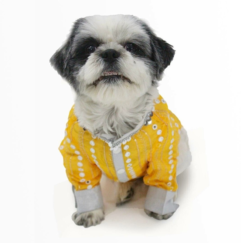 Dog-O-Bow Costume for Dog(Yellow Mirror Work Straight Kurta For Special Occasion)