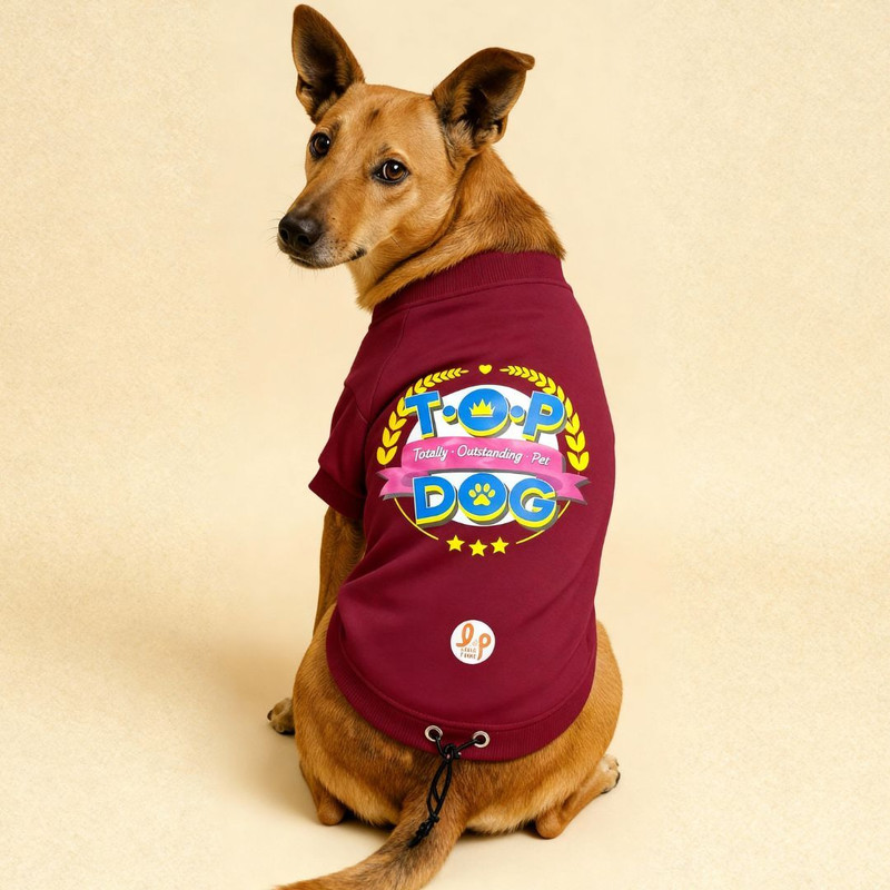 Lana Paws Hoodie for Dog(Maroon)