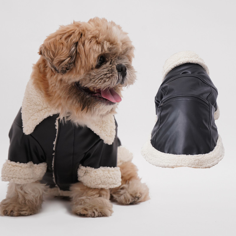 True Shop Winter Jacket for Dog, Cat(black)