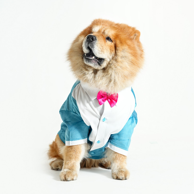 Barks & Wags Tuxedo for Dog, Cat(Blue)