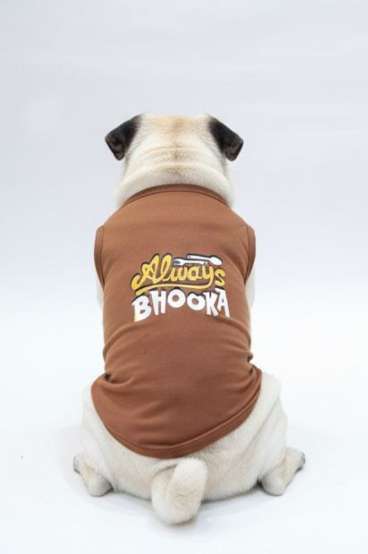 kasakclothing T-shirt for Dog(Maroon)