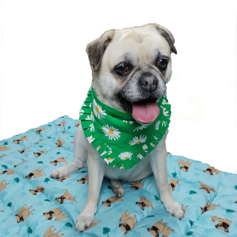 NUEVOS DOGGADIL Bandana for Dog, Cat(Green)
